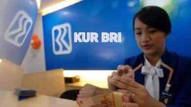 Ini Penjelasan Lengkap dan Strategi Sukses Pengajuan KUR BRI 2025