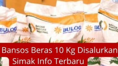 Kapan Bansos Beras 10 Kg Disalurkan? Simak Info Terbaru Lengkap!