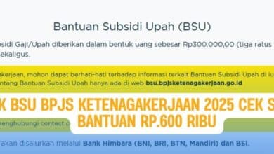 Link BSU BPJS Ketenagakerjaan 2025: Cek Status Bantuan Rp600 Ribu Sekarang