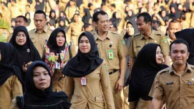 Resmi Diusulkan BKN: Daftar Lengkap ASN dengan Usia Pensiun Diperpanjang