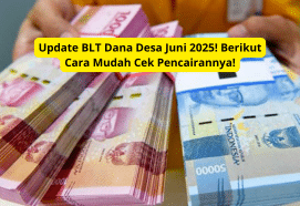 Update BLT Dana Desa Juni 2025: Cara Mudah Cek Pencairan Subsidi Terbaru!
