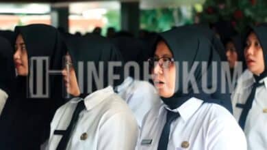 Akhirnya Disepakati! Honorer R2–R5 Diangkat Jadi PPPK 2025, Hasil Raker DPR