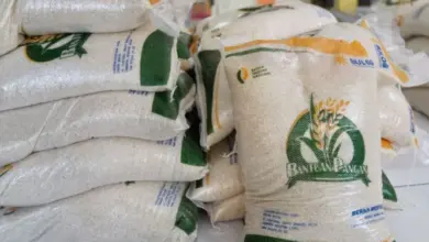 Bansos Beras 20 Kg Disalurkan hingga Akhir Juli, Cek Penerima Online Mudah