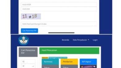 Begini Cara Cek Penerima PIP 2025 Pakai HP dari Rumah untuk SD, SMP, dan SMA