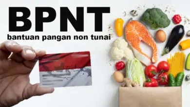 Cara Cek dan Ambil BPNT Juli 2025 Mudah, Wajib Tahu! Panduan Lengkap