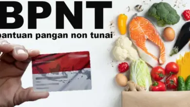 Cek BPNT Juli 2025 Pakai NIK: Cara Lihat Status Penerima Bantuan Tahap 3