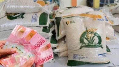 Cek Syarat & Jadwal Pengambilan Bantuan Beras 20 Kg Penerima BPNT 2025 Terbaru