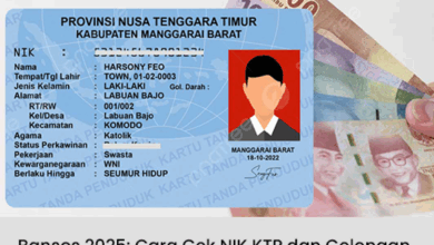 Bansos 2025: Cara Cek NIK KTP & Golongan yang Tidak Masuk Daftar Penerima Bantuan