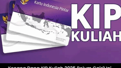 Kenapa Dana KIP Kuliah 2025 Belum Cair? Ini Penjelasan Resmi dari Kemendikbudristek