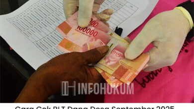 Cara Cek BLT Dana Desa September 2025 Mudah Pakai NIK dan KTP, Update Terbaru!