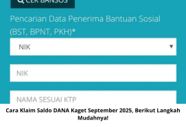 Langkah Praktis Cek Status Penerima Bansos PKH Pakai NIK KTP Online 2025 Mudah & Cepat