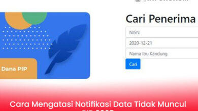 Cara Mengatasi Notifikasi Data Tidak Muncul PIP 2025: Solusi Cepat dan Efektif