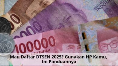 Mau Daftar DTSEN 2025? Gunakan HP Kamu, Ini Panduan Lengkap dan Praktis!