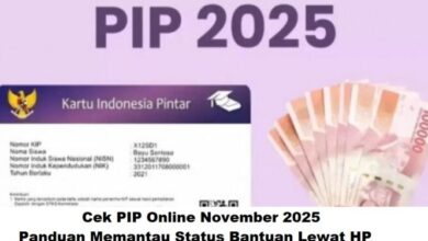 Cek PIP Online November 2025: Panduan Mudah Pantau Status Bantuan Lewat HP Cepat & Akurat