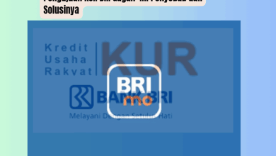 Pengajuan KUR BRI Gagal? Ini Penyebab Utama dan Solusi Terbaik yang Perlu Anda Tahu