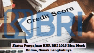 Status Pengajuan KUR BRI 2025 Bisa Dicek Online, Simak Langkah Mudahnya di Sini