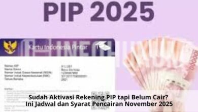Sudah Aktivasi Rekening PIP tapi Belum Cair? Cek Jadwal & Syarat Pencairan November 2025