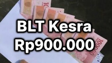 BLT Kesra 2025 Rp900 Ribu Masih Disalurkan, Penerima Cek Lewat HP di Cek Bansos Kemensos