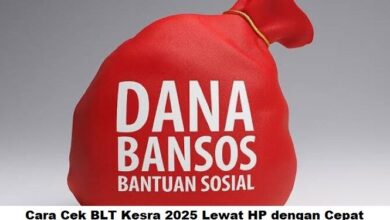 Cara Cek BLT Kesra 2025 Lewat HP Cepat: Panduan Lengkap Cek Status Bantuan