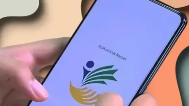 Cek Bansos di HP Tak Bisa Dibuka? Ini Penyebab & Solusi Resmi yang Perlu Anda Tahu!