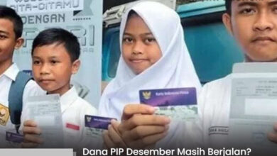 Dana PIP Desember 2025 Masih Berjalan? Panduan Lengkap Cek Status & Pencairan Terbaru