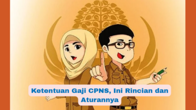 Ketentuan Gaji CPNS 2025: Rincian Terbaru dan Aturan Resmi yang Perlu Diketahui