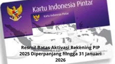 Resmi! Batas Aktivasi Rekening PIP 2025 Diperpanjang Sampai 31 Januari 2026
