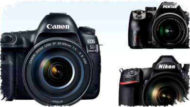 5 Kamera DSLR Terbaik untuk Pemula 2026: Pilihan Terjangkau Awali Hobi Fotografi dengan Mudah