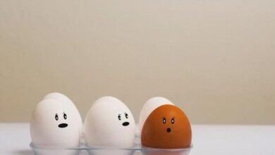 7 Dampak Negatif Terlalu Sering Konsumsi Telur yang Perlu Anda Waspadai untuk Kesehatan