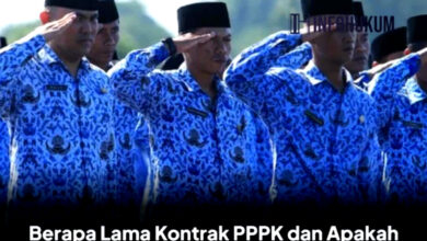 Berapa Lama Kontrak PPPK Berlaku dan Apakah PPPK Bisa Naik Pangkat? Simak Penjelasannya!
