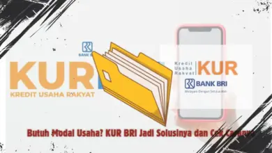 KUR BRI: Alternatif Pinjaman Modal Usaha dengan Proses Mudah dan Cepat