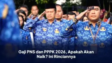 Kenaikan Gaji PNS dan PPPK: Fakta, Rincian, dan Prediksi Terbaru yang Perlu Anda Tahu