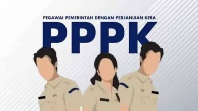 PPPK Paruh Waktu: Panduan Lengkap Masa Kontrak dan Hak Pegawai Terbaru