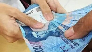 Panduan Lengkap Tunjangan Sertifikasi Guru: Proses Cair dan Jumlah Terbaru