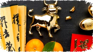 12 Ramalan Shio 25 Jan 2026: Prediksi Keuangan, Cinta, dan Keberuntungan Semua Shio