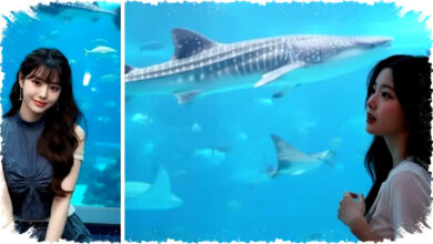 5 Prompt AI Terbaru untuk Edit Foto Liburan di Okinawa Churaumi Aquarium agar Tampak Hidup dan Natural