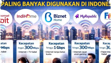 5 Provider Internet Swasta Terpopuler di Indonesia, Nomor 3 Biznet Paling Ngebut dan Stabil!