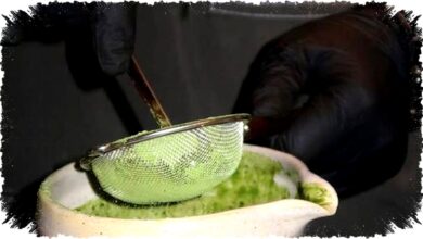 6 Cafe Matcha Premium di Jakarta, Harga Terjangkau dan Rasa Otentik Teh Hijau Jepang