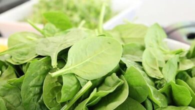 7 Manfaat Bayam untuk Kesehatan: Nutrisi Lengkap, Jaga Jantung, Otak, dan Turunkan Tekanan Darah