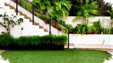 7 Tanaman Penyerap Air Banjir Efektif Reduksi Genangan Rumah, Mudah Ditanam & Ramah Lingkungan