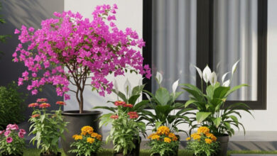 8 Tanaman Bunga Mudah Dirawat untuk Pemula, Solusi Cepat Percantik Rumah Kamu dengan Minimal Perawatan