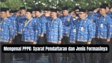 Mengenal PPPK 2026: Syarat Pendaftaran Lengkap & Jenis Formasi Guru, Kesehatan, Admin