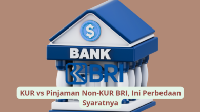 Perbedaan Syarat KUR dan Pinjaman Non-KUR BRI: Pilih Sesuai Kebutuhan dan Modal Usaha