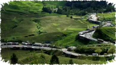 Rest Area Gunung Mas Puncak Bogor 2026: Panduan Fasilitas Lengkap & Istirahat Nyaman Jalur Wisata