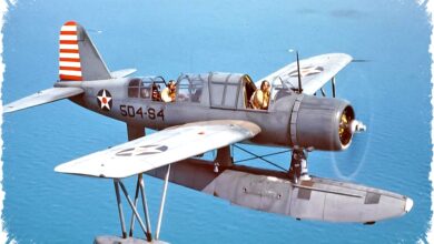 Top 10 Pesawat Amphibi Perang Dunia II: Unggul dalam Pertempuran Laut dan Misi Penyelamatan Nyawa