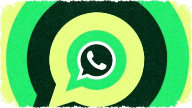 WhatsApp Uji Paket Berlangganan Premium dengan Fitur Eksklusif Stiker, Tema, dan Pin Chat Lebih Banyak