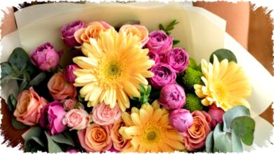 Gak Perlu Mawar, 5 Bunga Romantis Ini Lebih Menggoda dan Bikin Valentine Makin Berkesan!