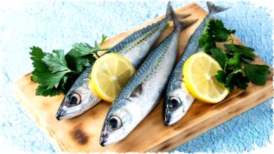 Ikan Tinggi Purin Memicu Serangan Asam Urat Parah, Waspadai Nyeri Sendi Menghantui Penderita Sekarang!