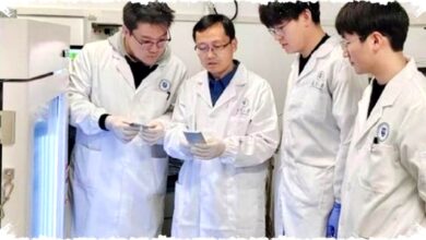 Ilmuwan China Ciptakan Baterai Plastik Ringan dan Tahan Ekstrem untuk Mobil Listrik Ramah Lingkungan Masa Depan