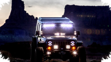 Kura-Kura Mojave Hancurkan Ribuan Mil Jalur Off-Road, Keputusan Hakim Cetak Batas Baru Perlindungan Satwa dan Ekosistem Gurun